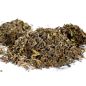 Preview: Schwarzer Tee-Darjeeling GFOP First Flush "Namring"